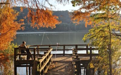 Autunno nel cuore del Vulture
